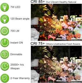 img 3 attached to 💡 Recessed Lighting - Dimmable Incandescent Equivalent