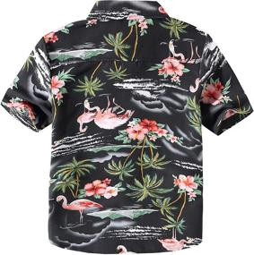 img 3 attached to 👕 Boys' Hawaiian Clothing with Button Sleeve featuring SSLR Flamingos