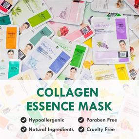 img 3 attached to 🌿 DERMAL 24-Combo Collagen Essence Facial Mask Sheet - The Complete Supreme Collection for Various Skin Conditions and Daily Skin Concerns. Authentic Korean Face Mask for Natural Freshness