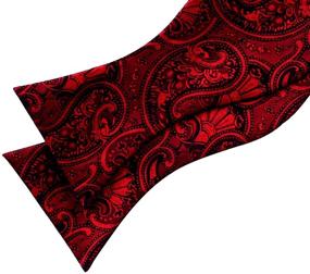 img 1 attached to 🧣 Red Paisley Jacquard Hanky: Essential Men's Accessory for Ties, Cummerbunds & Pocket Squares