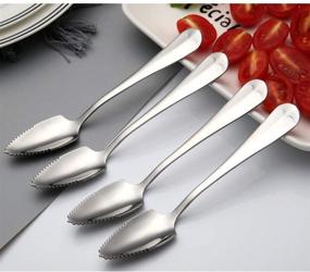 img 3 attached to 🥄 Stainless Steel Grapefruit Spoon Set, Serrated Edge Spoon for Citrus Fruits, Kiwi, Salads, and Desserts (Sharp Spoon)