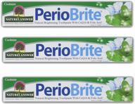 nature's answer periobrite cool mint toothpaste, 4oz, pack of 3 - natural & effective dental care logo