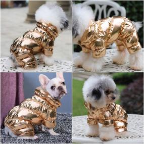 img 1 attached to MeiLiMiYu Waterproof Windproof Chihuahua Pomeranian Dogs