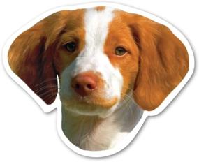 img 1 attached to Magnet America Brittany Spaniel