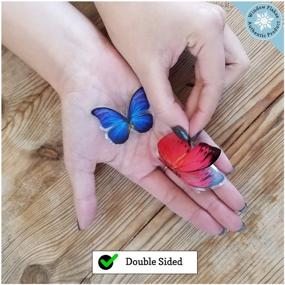 img 1 attached to 🦋 36 Glass Window Butterfly Clings - Window Decals for Bird Strikes and Anti-Collision Stickers, Decorative Butterflies Window Decor for Sliding Glass Doors