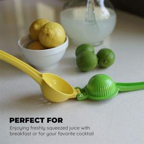 img 1 attached to 🍋 Culinary Elements Metal Lemon and Lime Squeezer: Effortless Manual Citrus Press, Hassle-free Juice Extraction, Dishwasher Safe