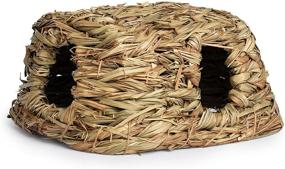 img 1 attached to Get Medium-Sized Prevue Hendryx 1097 Nature's Hideaway Grass Hut Toy for Your Pet's Playtime
