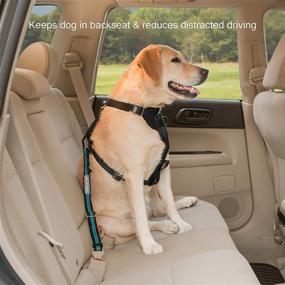 img 1 attached to 🐶 Kurgo Direct to Seat Belt Tether for Dogs - Universal Car Seat Belt for Pets with Adjustable Length - Quick & Easy Installation for Enhanced Dog Safety