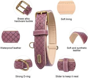 img 2 attached to 🐶 Hikiko Basic Classic Luxury Padded Leather Dog Collar - Enhanced with Rust-Proof Brass Lock for Large and Medium Pets