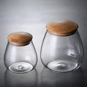 img 1 attached to 🔍 MOLADRI 400ML/13Oz Clear Glass Canister with Airtight Bamboo Lid - Stylish Storage Jar for Coffee, Spice, Candy, Salt, Cookie, Condiment, Pepper, Sugar