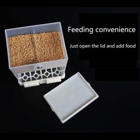 img 1 attached to 🐦 Effortless Feeding Solution for Small to Medium Birds: RYPET No-Mess Parrot Integrated Automatic Feeder