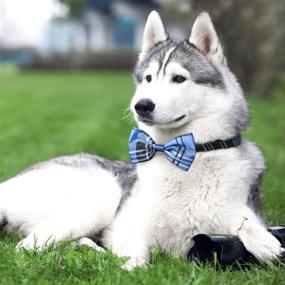 img 3 attached to 🐶 Segarty Adjustable Dog Collar with Bowtie - Pet Neck Bows for Boys, Girls, Puppies, and Cats - Ideal for Holiday Festivals, Parties, Valentine's Day, Photography, and Grooming Bows