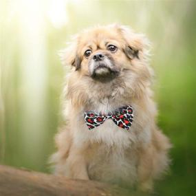 img 2 attached to 🐶 Segarty Adjustable Dog Collar with Bowtie - Pet Neck Bows for Boys, Girls, Puppies, and Cats - Ideal for Holiday Festivals, Parties, Valentine's Day, Photography, and Grooming Bows