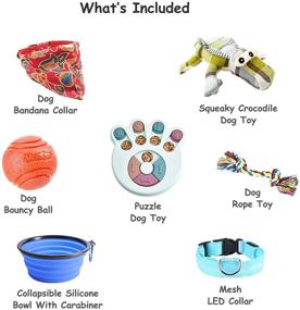 img 3 attached to 🐶 Eden's Pawrty Box - Ultimate Dog Gift Set with Puzzle Toys, Interactive Play Items, Bandana Collar, Bouncy Ball, Collapsible Bowl, & LED Mesh Collar - Perfect for Dog Lovers