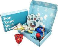 🐶 eden's pawrty box - ultimate dog gift set with puzzle toys, interactive play items, bandana collar, bouncy ball, collapsible bowl, & led mesh collar - perfect for dog lovers logo