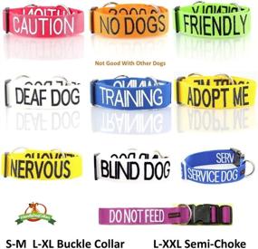 img 1 attached to Dexil Friendly Accident Prevention Accidents Cats in Collars, Harnesses & Leashes