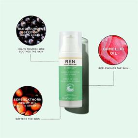 img 1 attached to 🌿 REN Clean Skincare Facial Moisturizer - Calming Day Cream with Shea Butter & Antioxidants, Suitable for Sensitive Skin - Nourishes & Reduces Redness - Cruelty-Free & Vegan