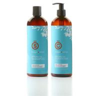 🌟 premium amber series 16oz k+s argan oil shampoo & conditioner set - salon quality, sulfate free, essential nutrients for hair health, repair and moisturization - antioxidant rich, anti-aging, enriched with vitamin e, omega nutrition - suitable for all hair types logo