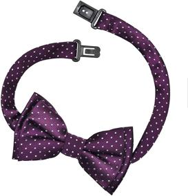 img 1 attached to 🎀 Vibrant Polka Dot Pre Tied Bow Ties - Retreez Color Collection for Boys' Accessory