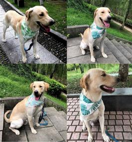 img 3 attached to 🐶 Stylish 5PCS/Pack Adjustable Pet Dog Puppy Bandanas: Rainforest & Flamingo Summer Scarf Bandage