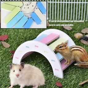 img 2 attached to 🐭 Durable 2-Pack Rat Flying Saucer Exercise Wheel & Wood Bridge Rainbow Climb – Silent Jogging Spinner for Mouse Hedgehog Chinchilla Pets Hamsters Gerbil Cage Toy
