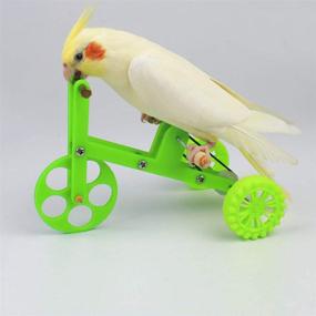 img 2 attached to Balacoo Training Bicycle Supplies Parakeet