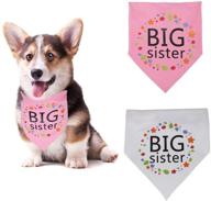 wonderpup sister triangle bandanas accessories логотип