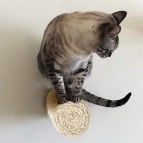 img 1 attached to 🐾 Set of 3 Wall-Mounted Sisal Cat Scratch Posts with Perches - Interactive Scratching Surfaces, Climbing Shelves, and Stairs for Kittens