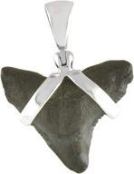 starborn sterling silver fossil pendant logo