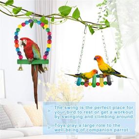 img 1 attached to 🐦 Zacro 7 pcs Bird Swing Toys - Colorful Chewing Toys for Small and Medium Birds - Hanging Bell Finch Toys for Bird Cages - Perfect for Peony, Parrot, Myna, Golden Sun, Macaws