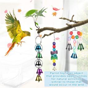 img 2 attached to 🐦 Zacro 7 pcs Bird Swing Toys - Colorful Chewing Toys for Small and Medium Birds - Hanging Bell Finch Toys for Bird Cages - Perfect for Peony, Parrot, Myna, Golden Sun, Macaws