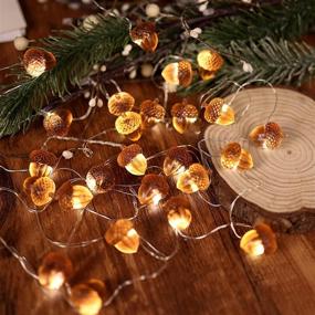 img 2 attached to 🍂 JASHIKA 3D Twinkle Acorn Fall Decorations: 10ft Copper Wire String Lights with Timer Remote Control - Perfect for Wedding, Bedroom, Fireplace Mantel or Home Décor