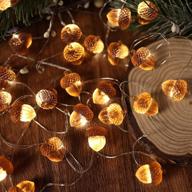 🍂 jashika 3d twinkle acorn fall decorations: 10ft copper wire string lights with timer remote control - perfect for wedding, bedroom, fireplace mantel or home décor логотип