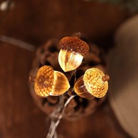 img 3 attached to 🍂 JASHIKA 3D Twinkle Acorn Fall Decorations: 10ft Copper Wire String Lights with Timer Remote Control - Perfect for Wedding, Bedroom, Fireplace Mantel or Home Décor