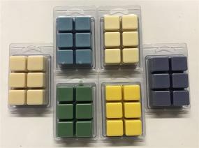 img 1 attached to 🕯️ 6-Pack Soy Blend Wickless Candle Wax Bar Melts - Clean and Fresh Assorted Scented Cubes. Clean Laundry, Spring Rain, Sea Breeze, Juniper Breeze, Purely Herbal and Baby Powder
