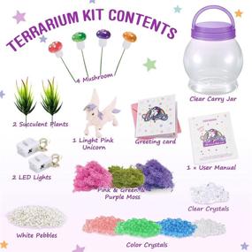 img 1 attached to Build Your Own Illuminated Terrarium Nightlight for Birthday Celebration