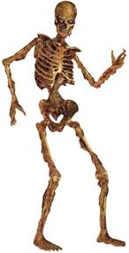 img 1 attached to 🎃 Beistle 00130 Складной скелет, 6’ (бумажный вырез) - Захватывающее украшение к Хэллоуину
