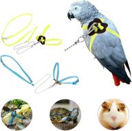 kama bridal bird leash, adjustable outdoor flying training rope for parrot harness - perfect for lizard, tortoise, grey parrot, cockatiel, alexandrine, parakeet - 2 pack logo