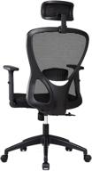 ergonomic high back mesh office chair with adjustable lumbar support, armrests, and headrest - iwmh office chair for home office desk, executive swivel computer chair (black) logo