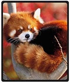 img 2 attached to 🐼 HommomH 60" x 80" Soft Blanket Air Conditioning Funny Cute Red Panda: Cozy and Playful Home Essential