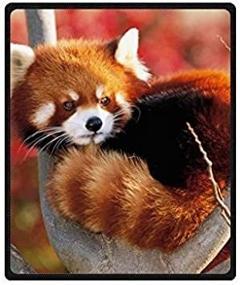 img 1 attached to 🐼 HommomH 60" x 80" Soft Blanket Air Conditioning Funny Cute Red Panda: Cozy and Playful Home Essential