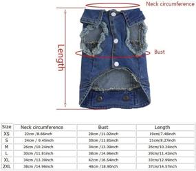 img 3 attached to 🐶 Stylish MISSPET Soft Blue Jeans Denim Dog Jacket - Perfect Costume Apparel Hoodies for Small Puppies!