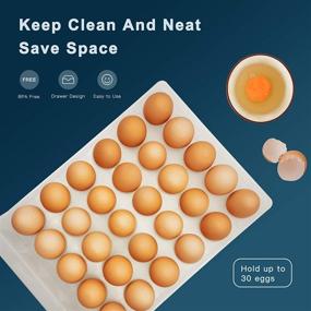 img 1 attached to 30-Grid Single Layer Egg Holder for Refrigerator - BPA Free Storage Container for Fridge, Household Organizer Box for Kitchen & Farm - NEWFORCE