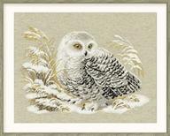 🦉 riolis r1241 white owl counted cross stitch kit, 17.75 by 13.75-inch logo