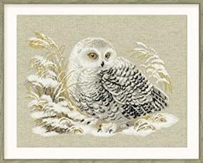 img 1 attached to 🦉 RIOLIS R1241 White Owl Counted Cross Stitch Kit, 17.75 by 13.75-Inch