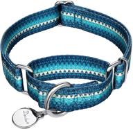 🐶 dazzber martingale collar for dogs - no pull pet collar heavy duty, silky soft with unique pattern for medium and large breeds logo