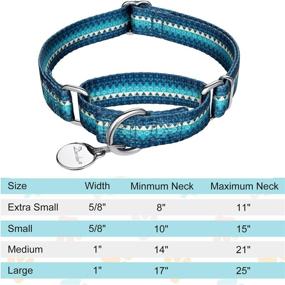 img 3 attached to 🐶 Dazzber Martingale Collar for Dogs - No Pull Pet Collar Heavy Duty, Silky Soft with Unique Pattern for Medium and Large Breeds