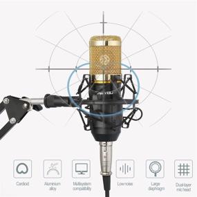 img 2 attached to 🎤 ZINGYOU BM-800 Конденсаторный микрофонный комплект: студийный набор для записи высокого качества с регулируемым рычагом-ножницами, металлическим амортизатором и звукопоглощающим фильтром (золотой)