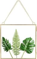 🌿 outgeek hanging picture frame: innovative display frame for preserving dried plant specimens логотип