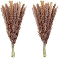 🌾 dried pampas grass: 60 pcs natural pompass branches for vases, flower arrangements, weddings, and home décor logo